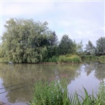 myFish_2011_7_17_7_46_18_243.jpeg
