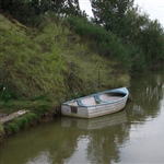 myFish_2010_11_4_10_51_5_644.jpeg