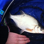 myFish_2010_11_28_10_18_45_636.jpeg