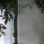 myFish_2010_8_8_23_14_50_476.jpeg