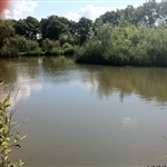 myFish_2011_6_11_19_47_46_967.jpeg