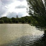 myFish_2011_6_20_9_30_45_690.jpeg