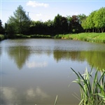 IMG_1154.JPG