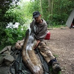 myFish_2011_3_7_13_11_20_786.jpeg