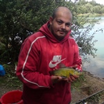 myFish_2011_8_14_21_47_47_166.jpeg