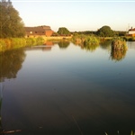 myFish_2011_9_8_11_38_4_589.jpeg