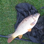 myFish_2011_4_21_20_41_22_296.jpeg