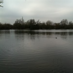 myFish_2011_4_18_1_7_57_401.jpeg