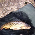 myFish_2011_9_22_19_19_26_44.jpeg