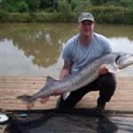 myFish_2011_6_21_18_51_37_961.jpeg