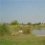 Lake-Point-View.jpg