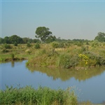 Top-Bank-View.jpg