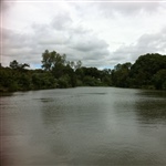 myFish_2011_6_27_10_28_39_981.jpeg