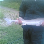 myFish_2011_7_27_2_38_9_359.jpeg