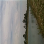 myFish_2011_7_5_12_45_34_444.jpeg