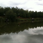 myFish_2011_8_7_8_18_7_505.jpeg