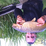 myFish_2011_2_24_1_26_26_528.jpeg