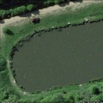 myFish_2010_11_5_20_0_45_115.jpeg