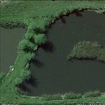 myFish_2010_11_5_20_1_32_173.jpeg