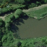 myFish_2010_11_5_20_3_3_459.jpeg