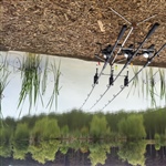 myFish_2011_6_4_20_3_32_573.jpeg
