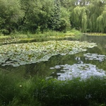 myFish_2010_11_4_20_39_44_693.jpeg