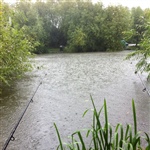 myFish_2011_7_20_22_10_23_484.jpeg