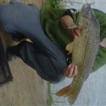 myFish_2011_5_4_19_48_27_450.jpeg