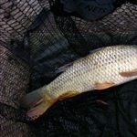 myFish_2011_7_21_13_32_4_694.jpeg