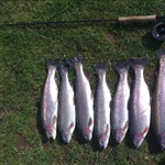 myFish_2010_10_23_14_55_13_663.jpeg