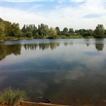myFish_2011_9_3_21_4_54_259.jpeg