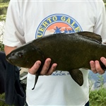 myFish_2011_9_6_12_22_27_499.jpeg