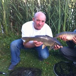 myFish_2011_2_9_0_38_54_275.jpeg