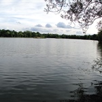 Earlswood Lakes