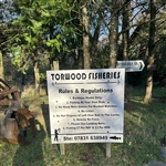 Torwood01.jpg