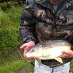 myFish_2011_6_12_15_7_52_767.jpeg