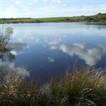 pottishaw5.jpg