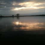 myFish_2011_8_7_23_28_2_649.jpeg