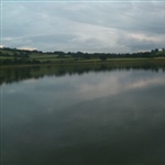 myFish_2011_8_7_23_28_59_282.jpeg