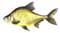 Catch more fish - Bream